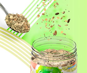 CGI Snackout Cereal 健康谷物麦片食品包装设计